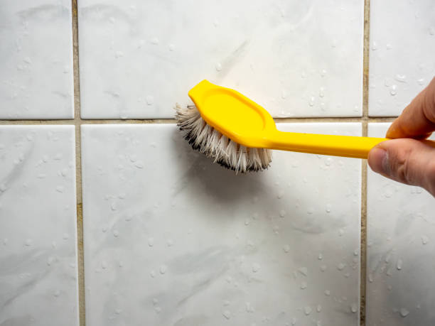 Best Mold Removal Company Near Me  in Waukegan, IL