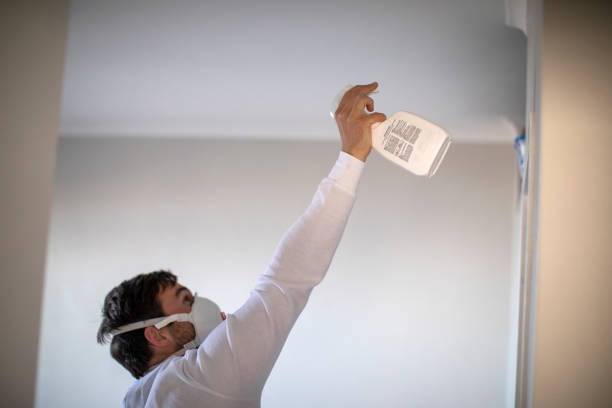 Best Emergency Mold Removal  in Waukegan, IL