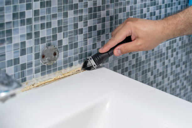 Best Residential Mold Removal  in Waukegan, IL