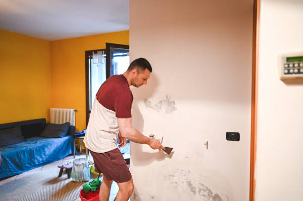 Best Water Damage Restoration  in Waukegan, IL